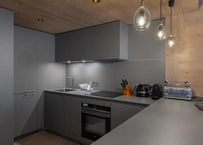 Lägenhet Cosy Au Centre De Avec Espace Bien-etre - Fr-1-562-81 *